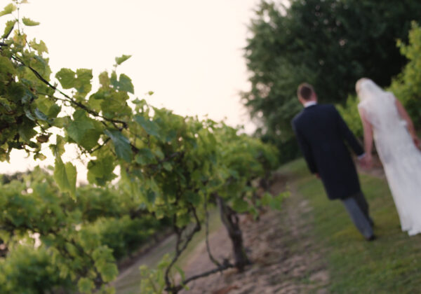 Couple holding hands and walking in vineyard at La Mare Wine Estate, Jersey